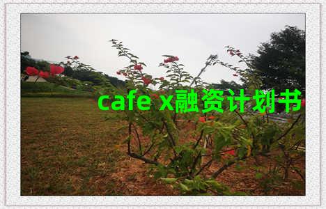 cafe x融资计划书